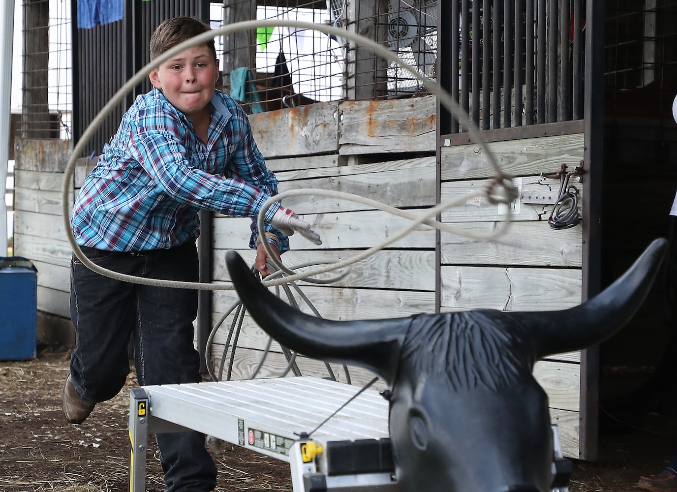 85 PHOTOS: 2019 Clark County Fair