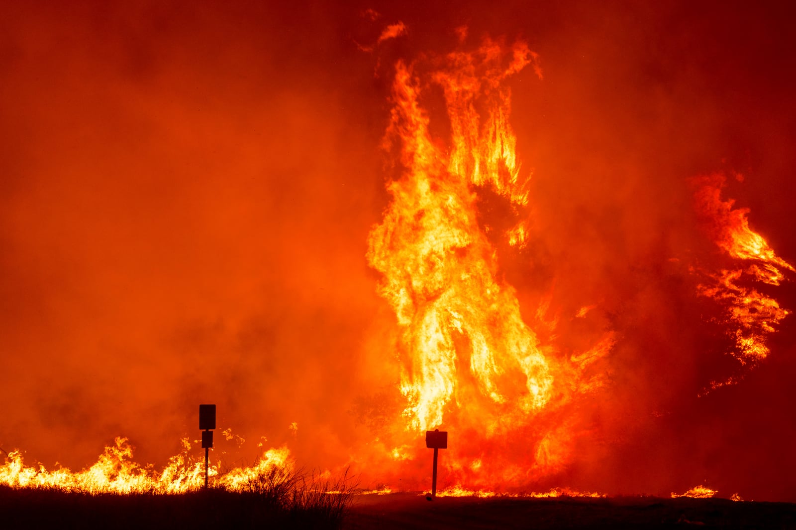 Flames by the Hughes Fire burns trees in Castaic, Calf., Wednesday, Jan. 22, 2025. (AP Photo/Ethan Swope)