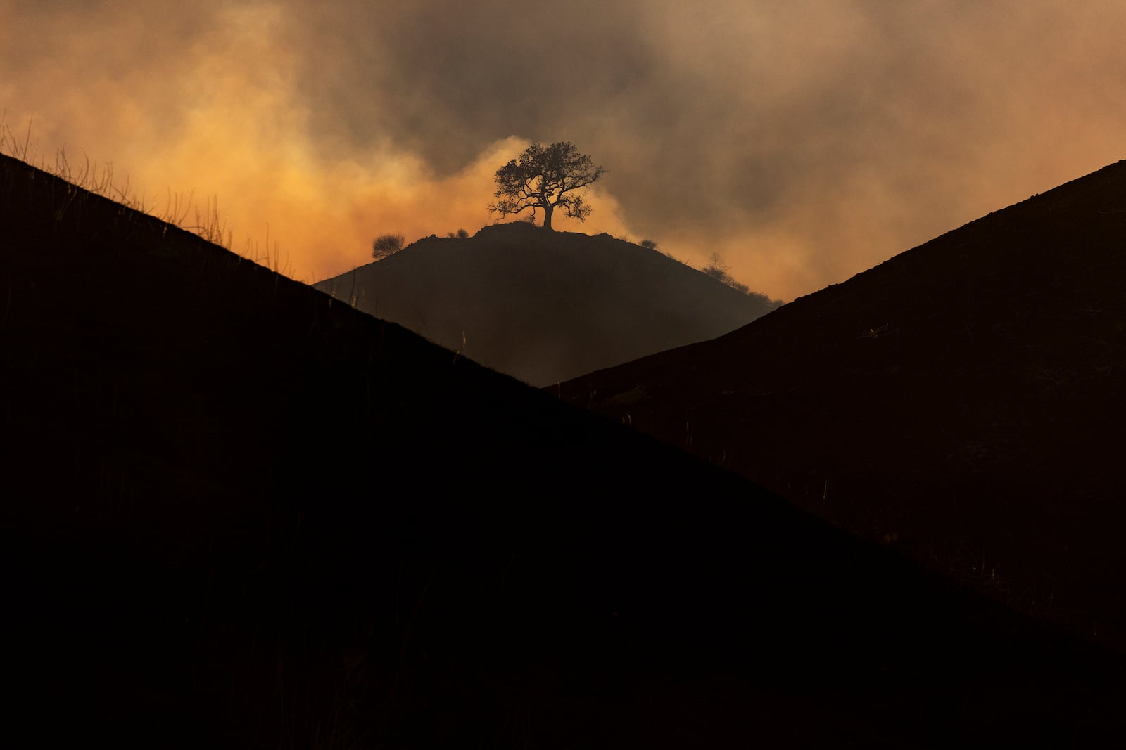 FILE - A lone burnt tree remains on a hill after the Kenneth Fire burnt through hills in the West Hills section of Los Angeles, Thursday, Jan. 9, 2025. (AP Photo/Etienne Laurent)