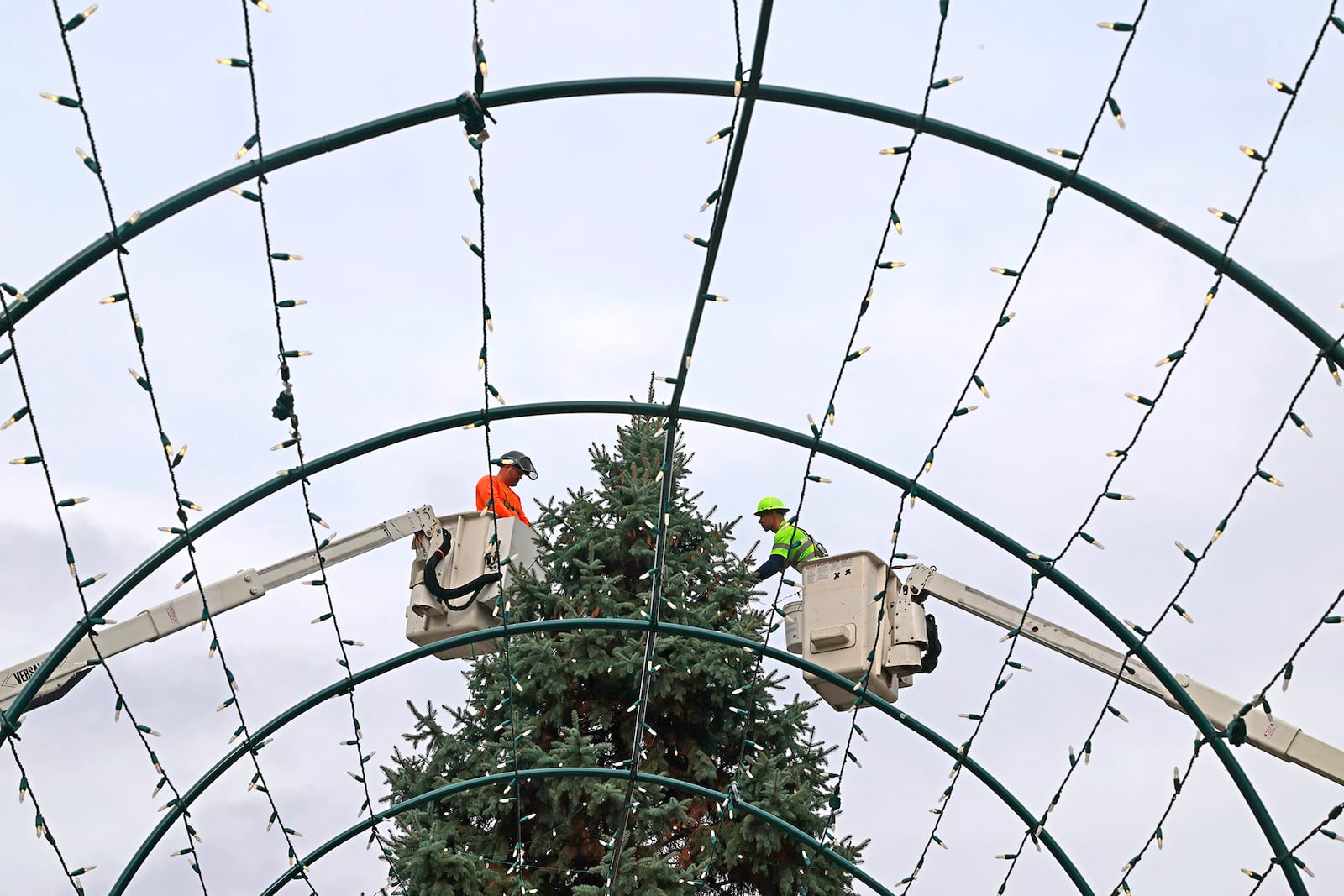 A crew from the City of Springfield Service Department started wrapping the city's Christmas tree in thousands of lights Monday, Nov. 18, 2024 on the Springfield Esplande. The city set up the donated tree on Friday. BILL LACKEY/STAFF