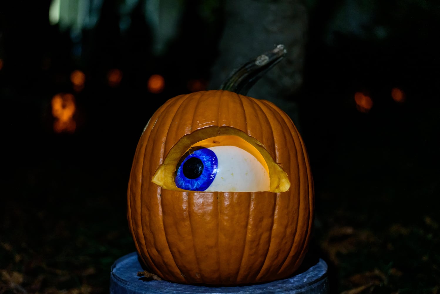 PHOTOS: The 30th annual Stoddard Avenue Pumpkin Glow