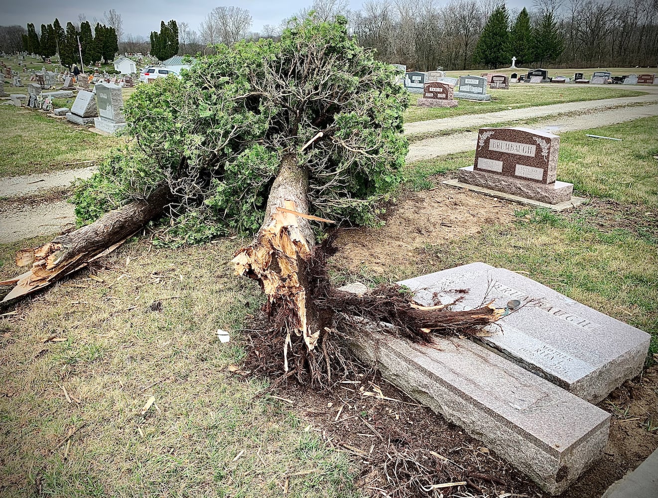 Cemetery damage, Bradford