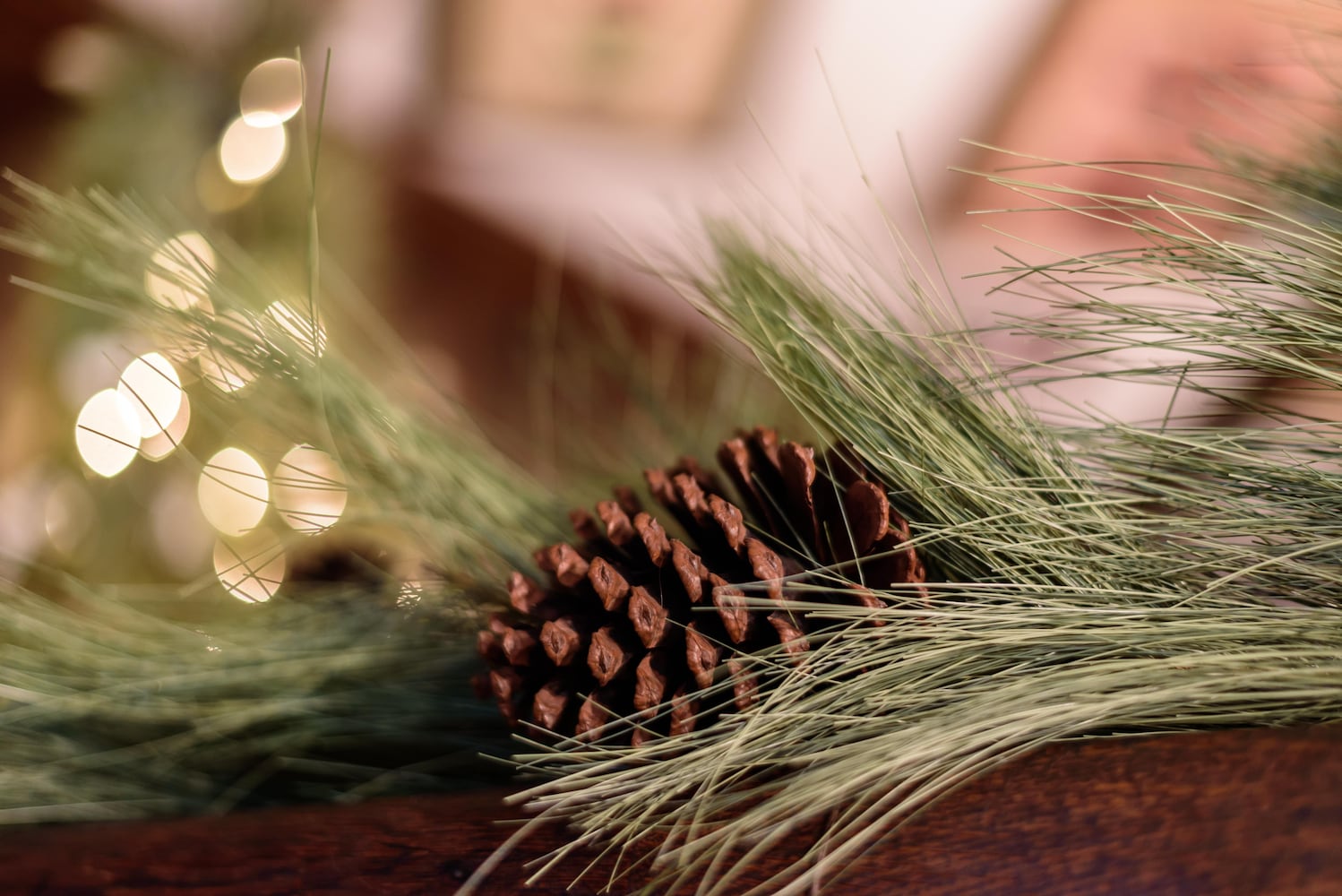 PHOTOS: 2024 Yuletide Winter’s Gathering in downtown Tipp City