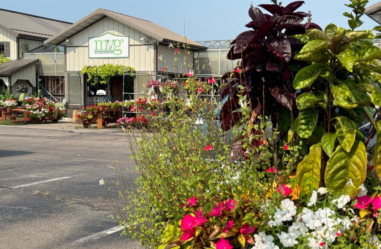 Meadow View Growers has announced they will be closing their popular nursery in New Carlisle. BILL LACKEY/STAFF