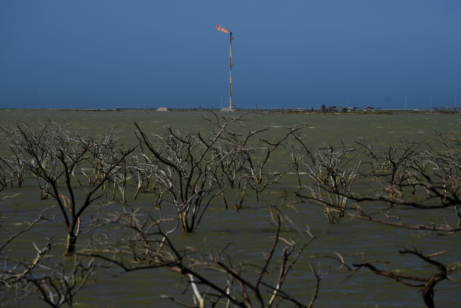 A gas company operates near submerged trees in Manaure, Colombia, Thursday, Feb. 6, 2025. (AP Photo/Ivan Valencia)