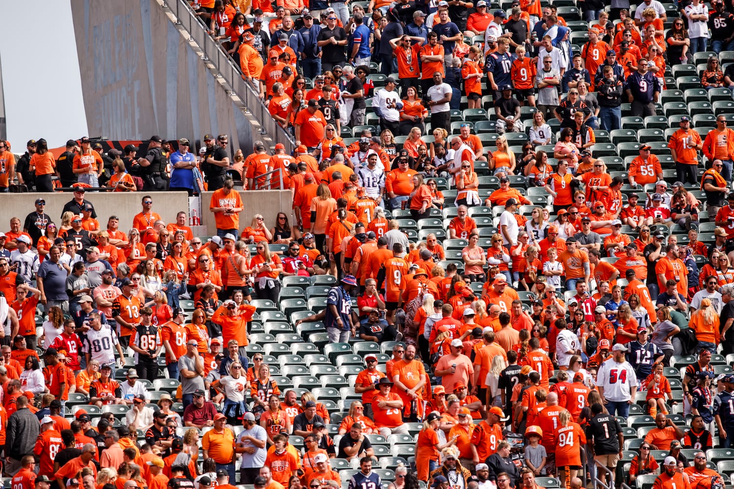 090824 Bengals vs Patriots football