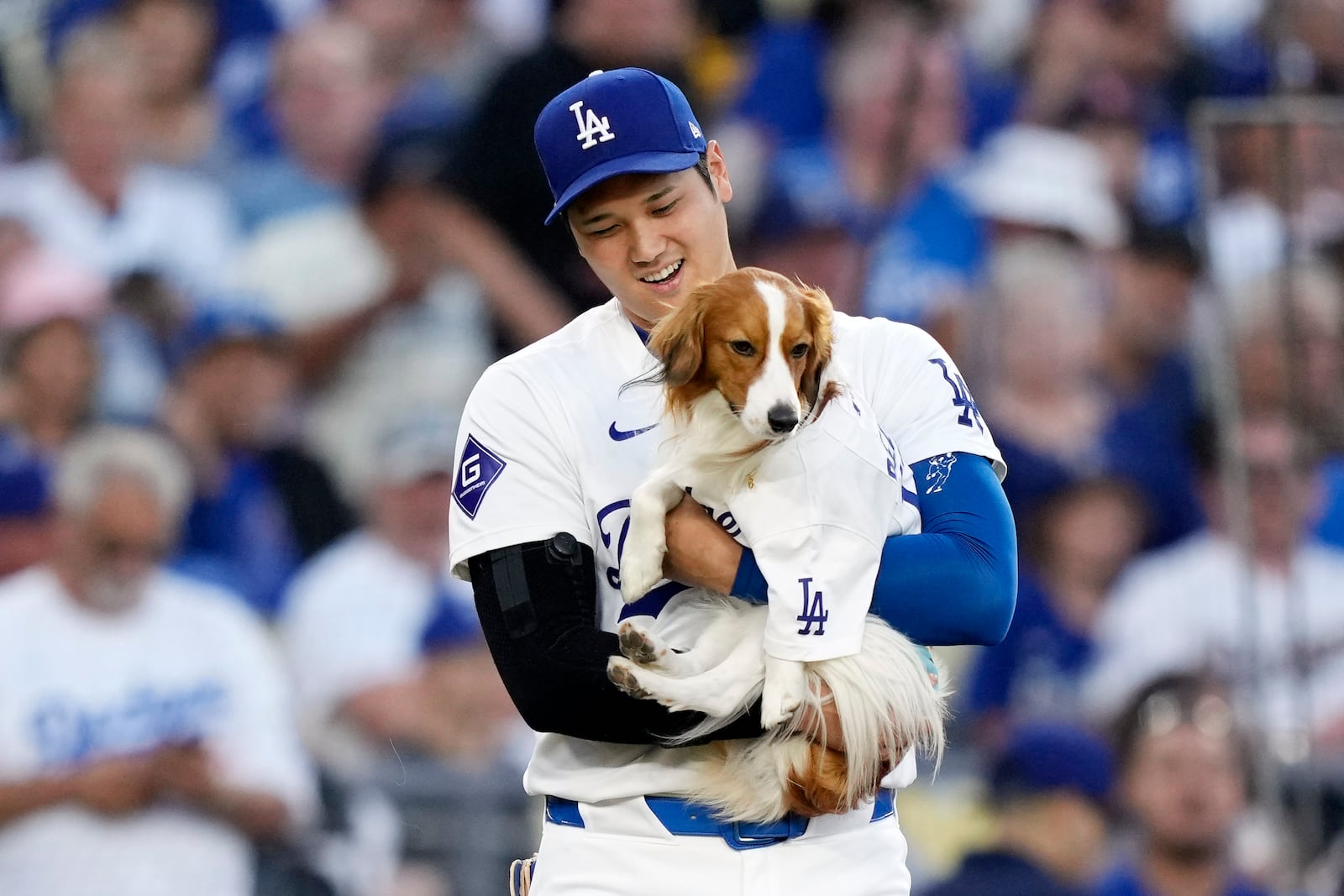 FILE - Los Angeles Dodgers' Shohei Ohtani brings his dog Decoy to mound before Decoy delivered the ceremonial first pitch prior to a baseball game between the Dodgers and the Baltimore Orioles, Wednesday, Aug. 28, 2024, in Los Angeles. (AP Photo/Mark J. Terrill, File)