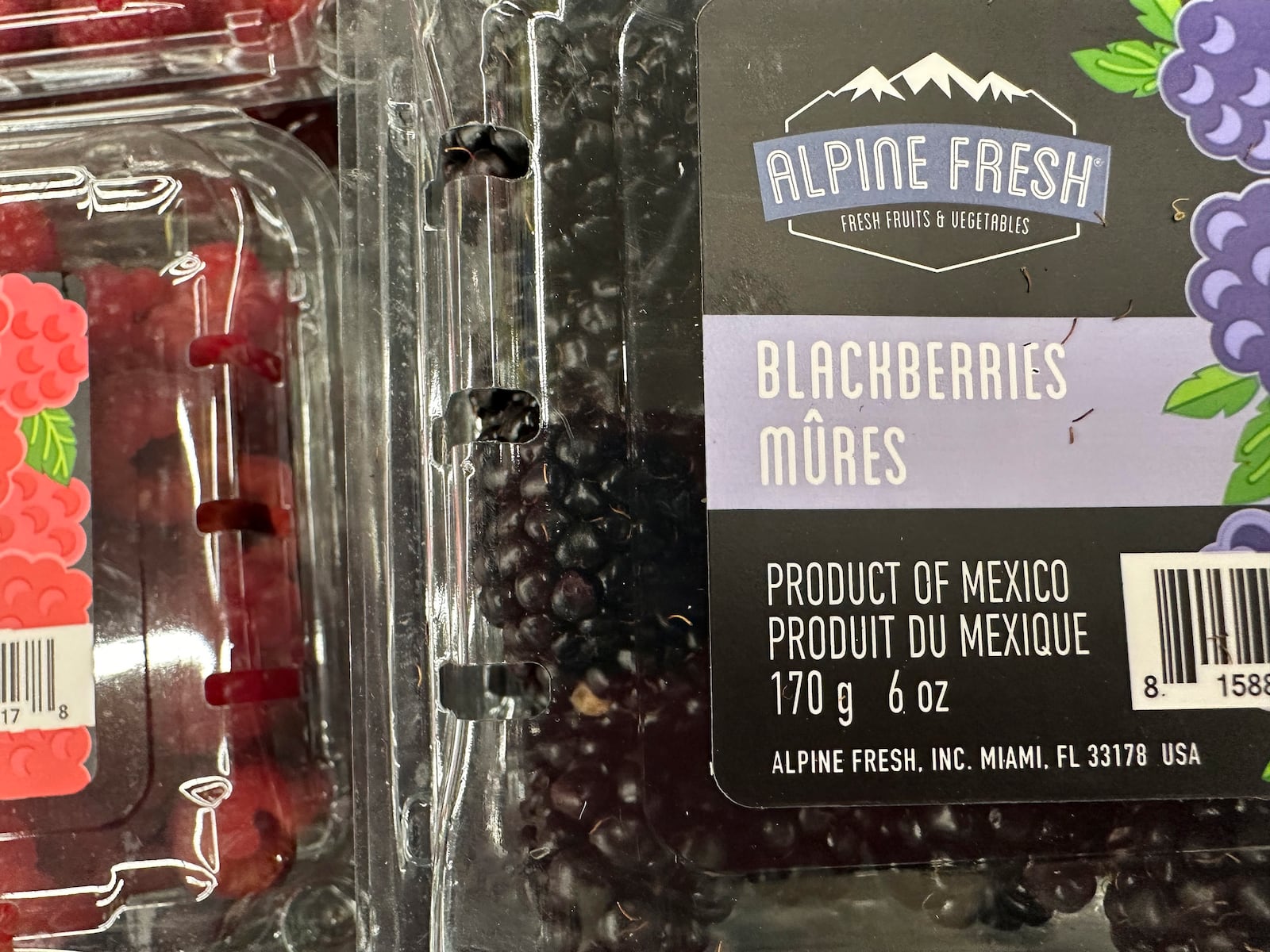 The country of origin-Mexico-is displayed on the label of a 6-ounce package of blackberries for sale in a Safeway grocery store Tuesday, March 4, 2025, in Denver. (AP Photo/David Zalubowski)