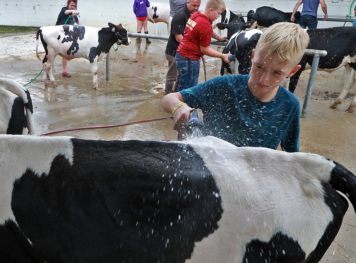 85 PHOTOS: 2019 Clark County Fair