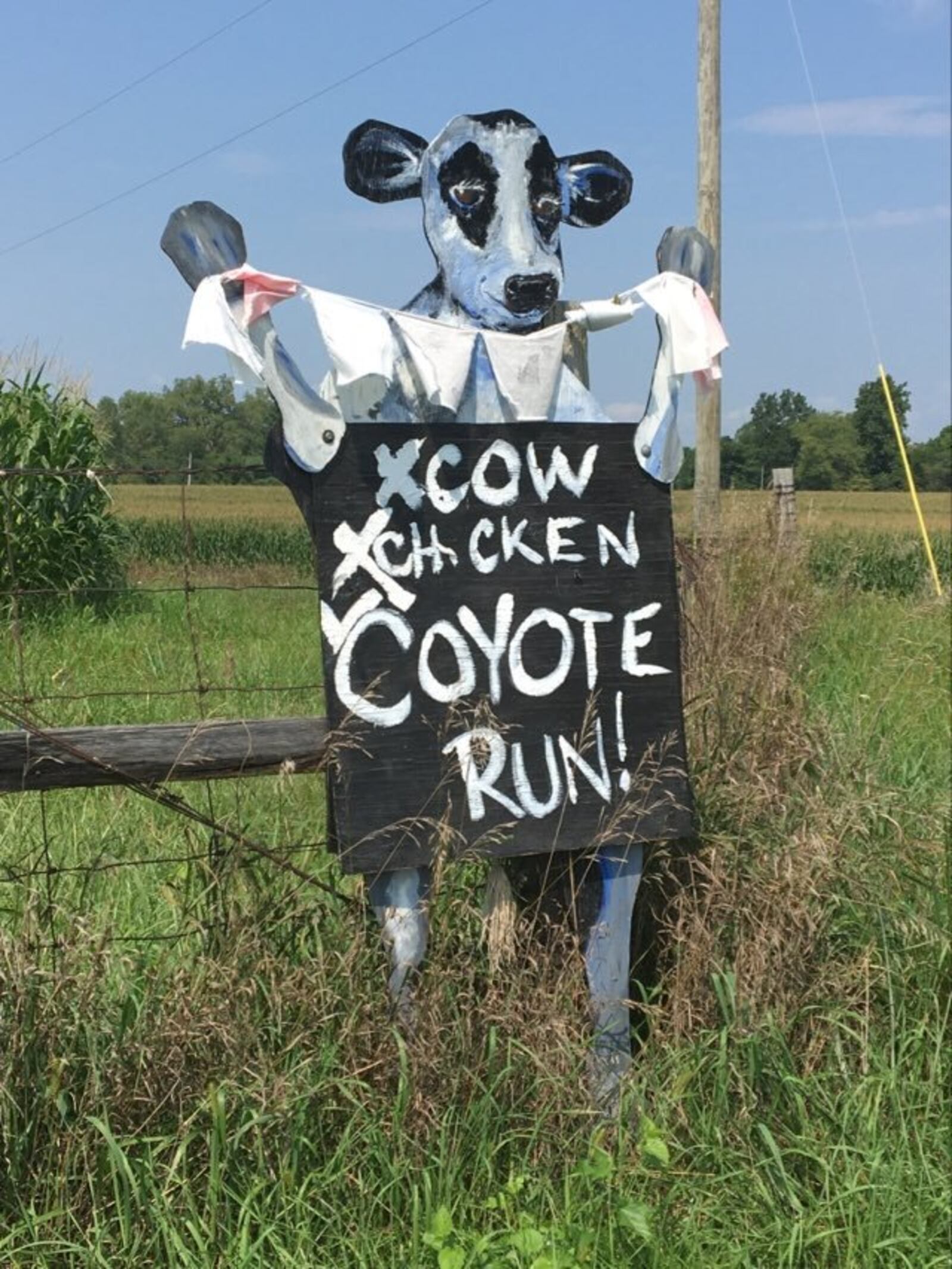 Cutouts celebrate the naming of Coyote Run Creek in Mad River Township. PAM COTTREL/CONTRIBUTOR