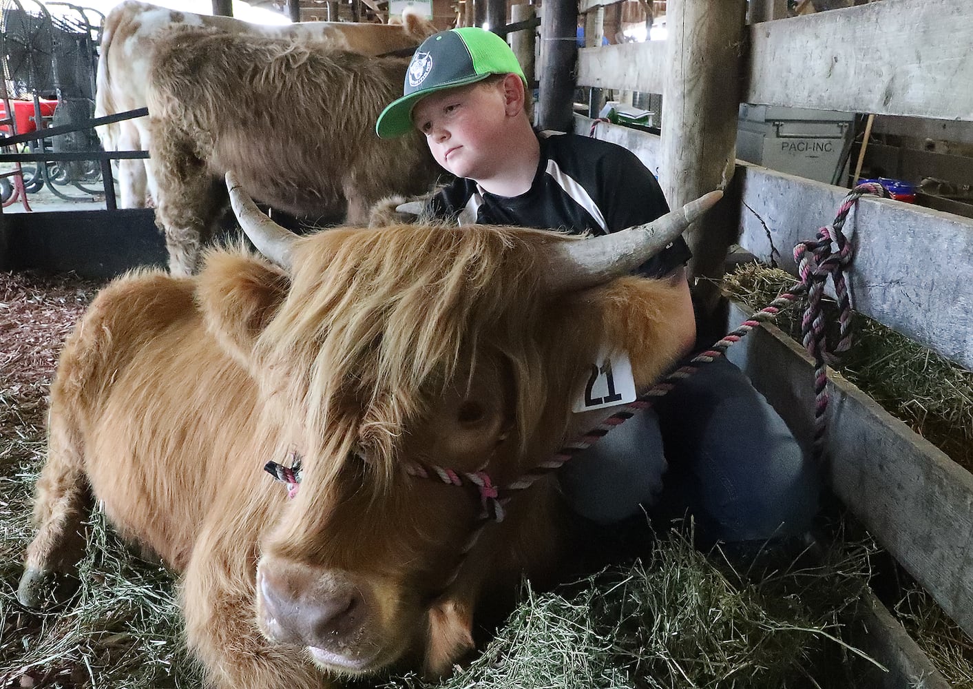 PHOTOS: 2019 Champaign County Fair Opens