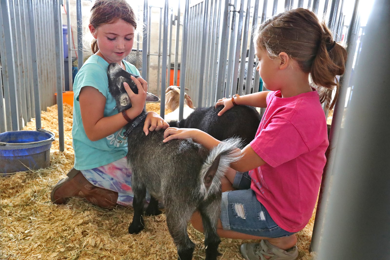 Kate Page and Clover Stephens play with their brother's pigmy goat projects named "Bill" and "Ted" Saturday at the Clark County Fair. BILL LACKEY/STAFF