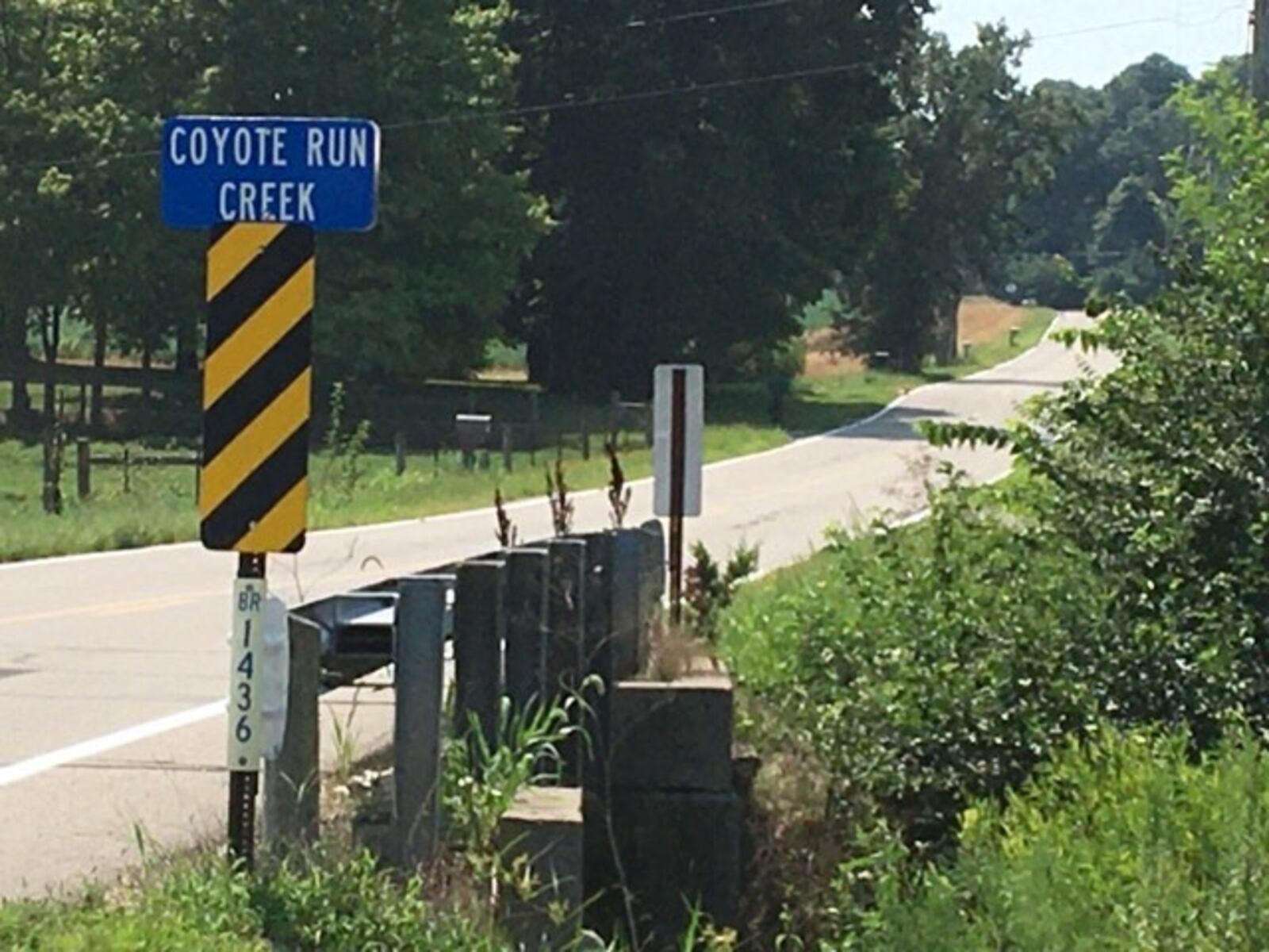 Coyote Run Creek is the new name of a tributary of Mud Run in Mad River Township. PAM COTTREL/CONTRIBUTOR