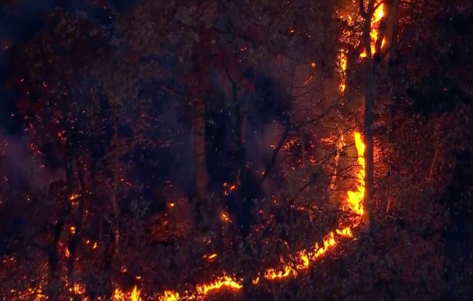 This aerial image taken from video shows a brush fire that broke out in a park on the northern tip of Manhattan in Inwood, N.Y., Wednesday, Nov. 13, 2024. (WABC-TV via AP)