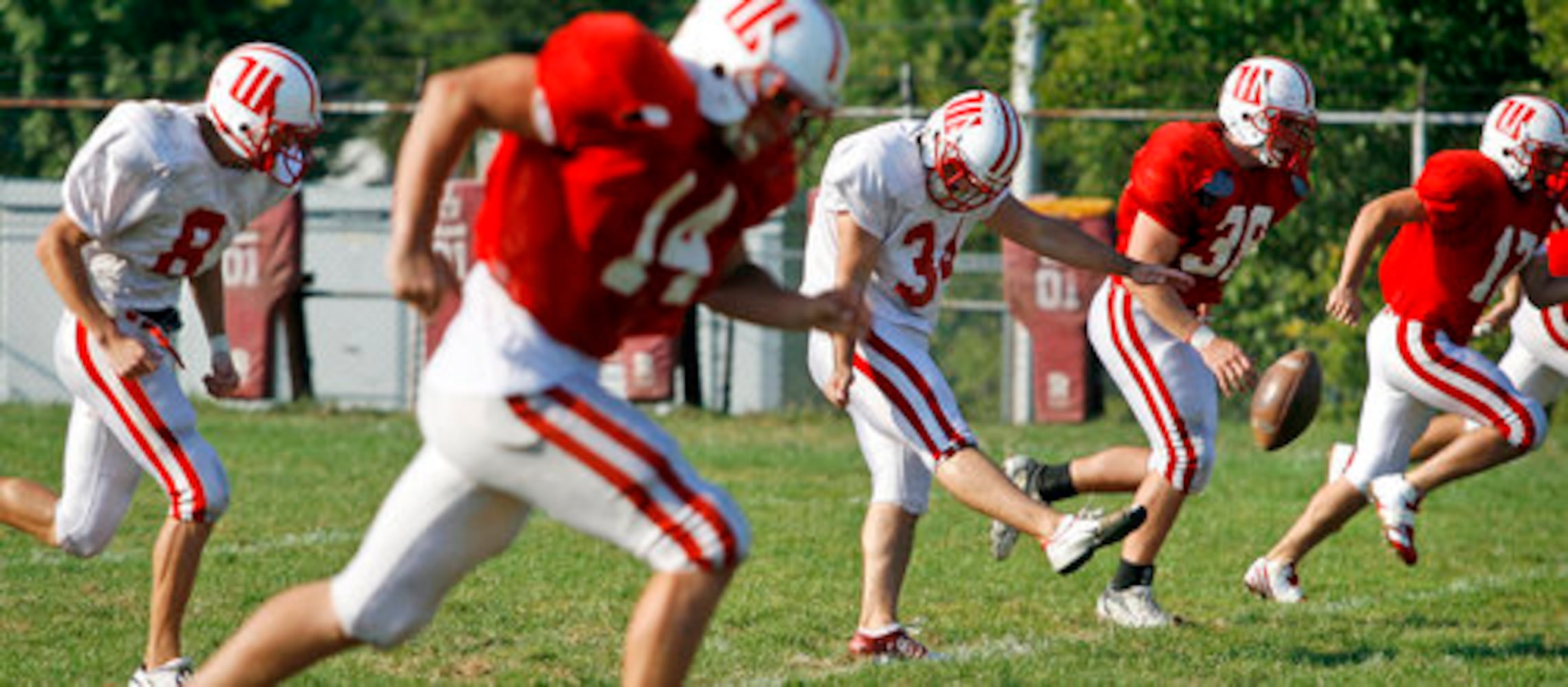 Wittenberg Football: The Fincham Years