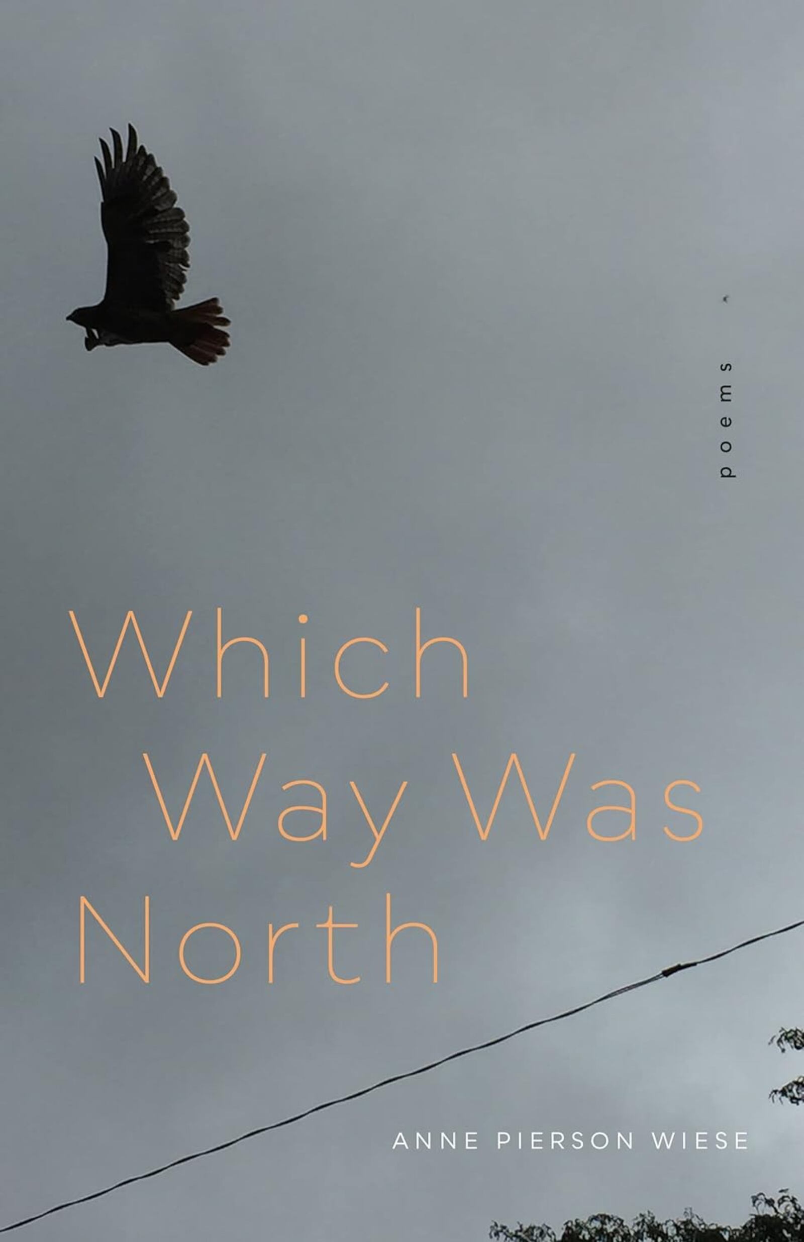 "Which Way Was North" by Anne Pierson Wiese (LSU Press, 70 pages, $18.95)