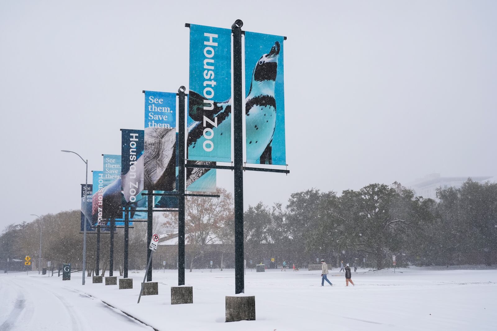 People walk in the snow near the Houston Zoo on Tuesday, Jan. 21, 2025, in Houston. (AP Photo/Ashley Landis)