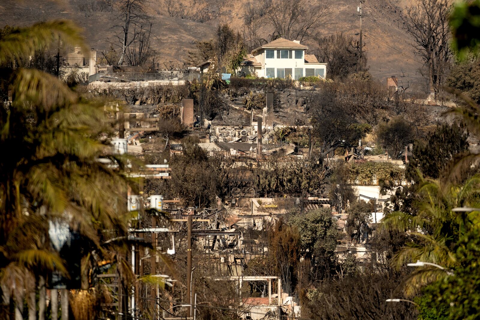 A home stands among residences destroyed by the Palisades Fire in the Pacific Palisades neighborhood of Los Angeles on Sunday, Jan. 12, 2025. (AP Photo/Noah Berger)