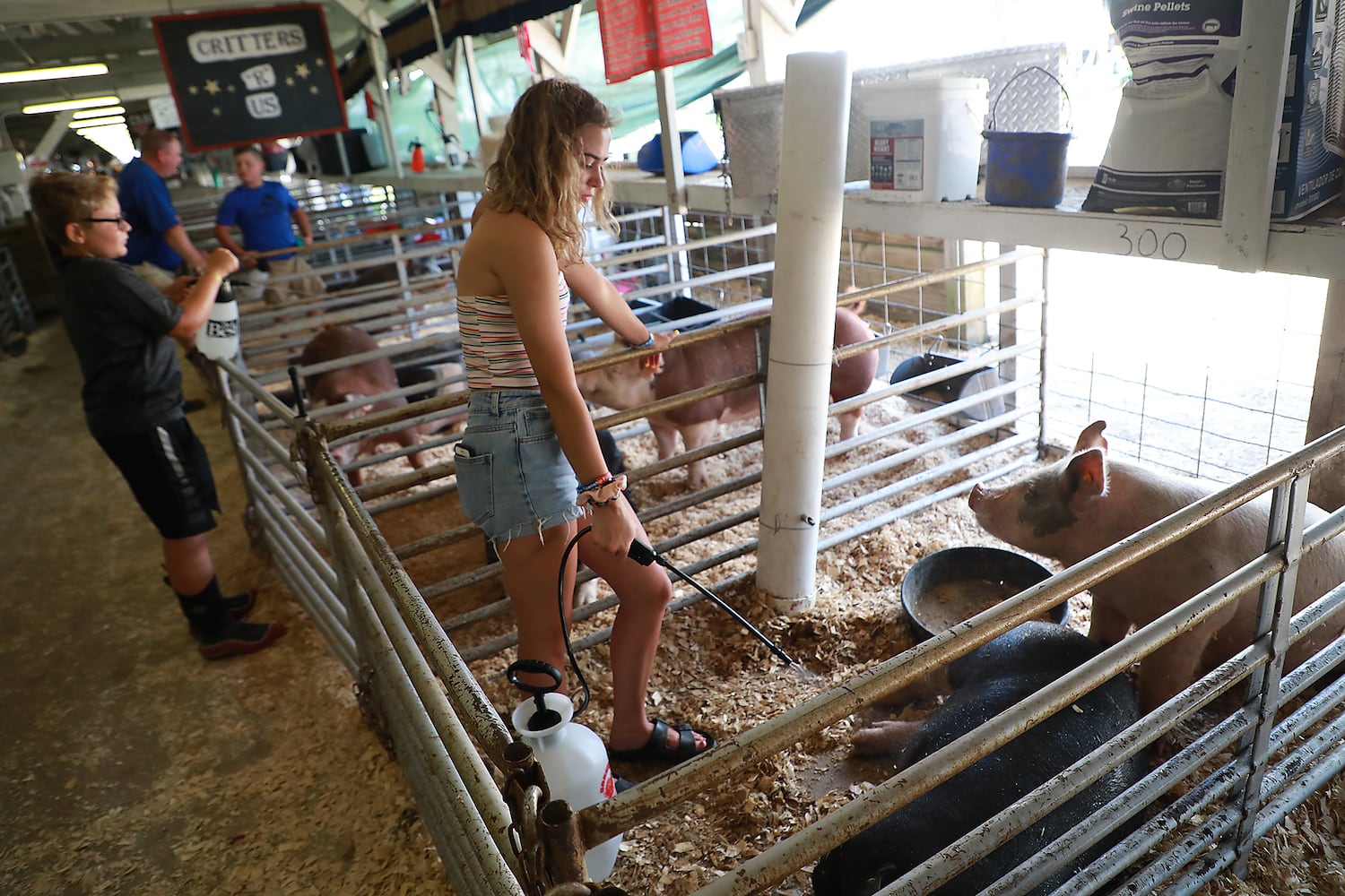 85 PHOTOS: 2019 Clark County Fair