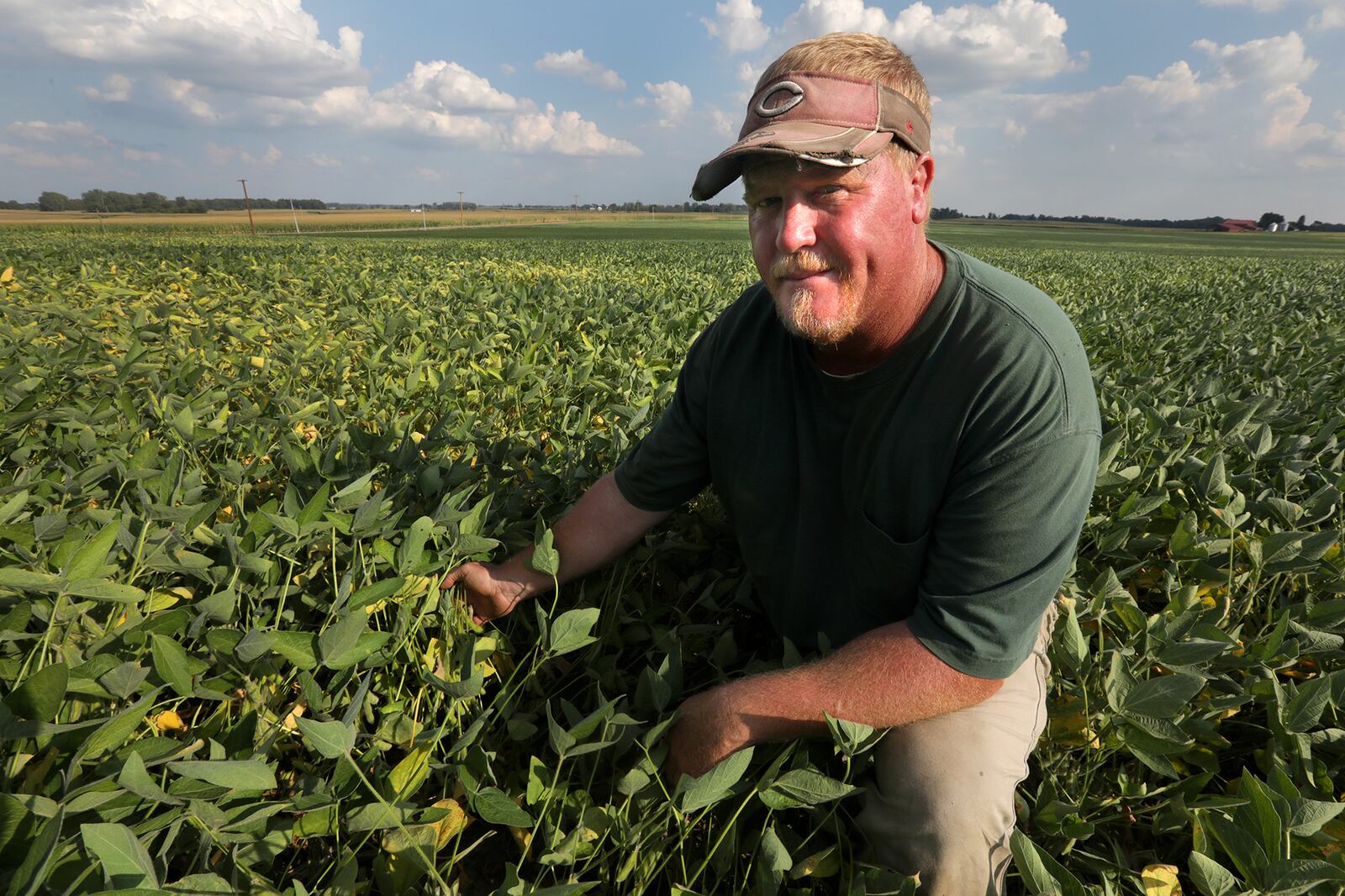 Brian Harbage in his Clark County soy bean field Thursday, Sept. 12, 2019. Harbage said this has been the worst growing season he's seen since he's been farming. BILL LACKEY/STAFF