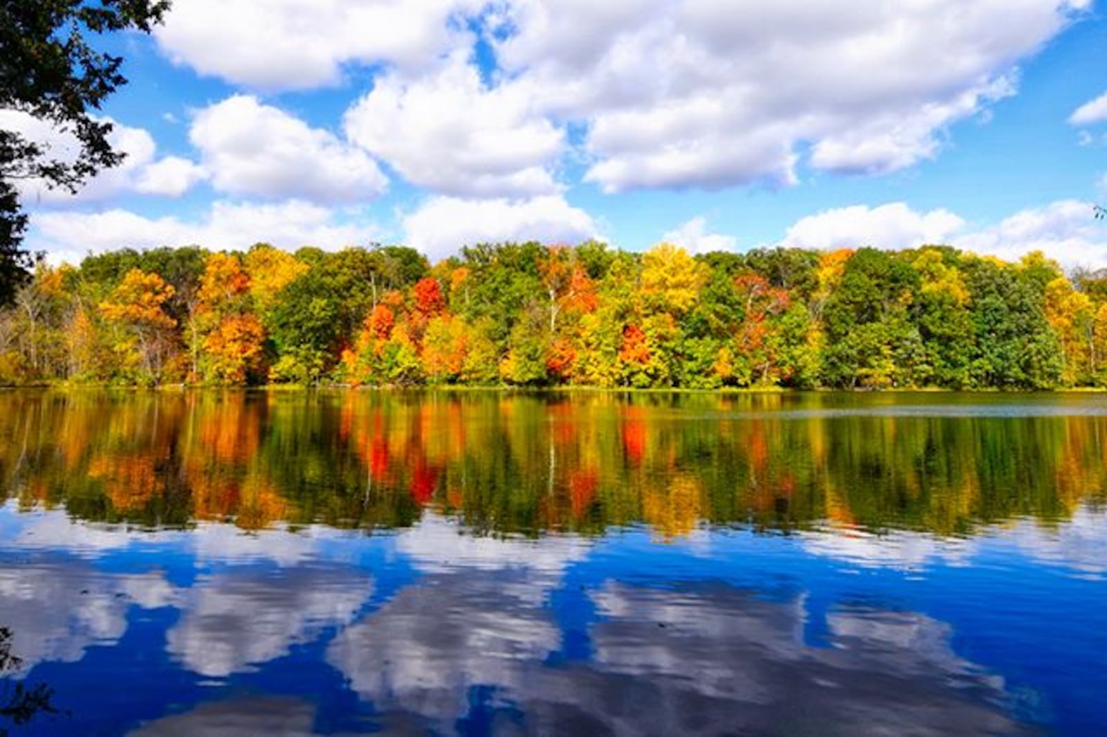 George Rogers Clark Park, Springfield (Courtesy of iWitness 7 Contributor Eric Wright)