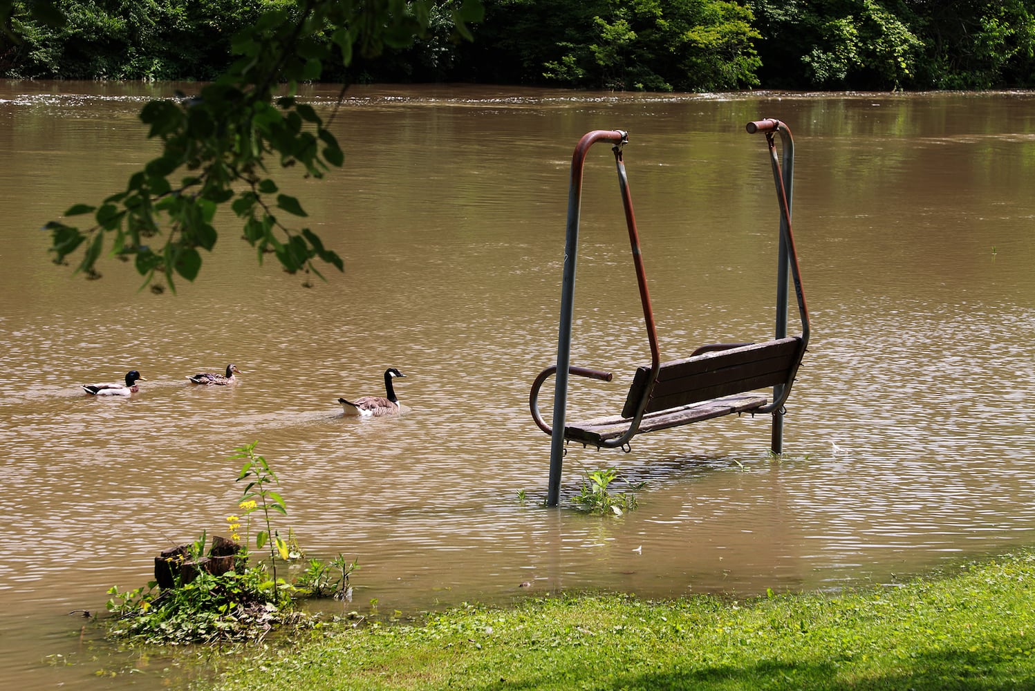 PHOTO: Clark County Rivers and Creeks