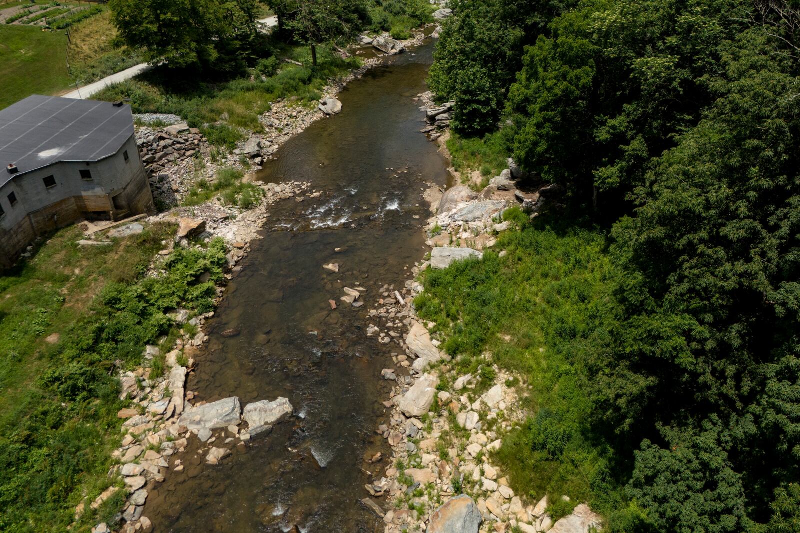 FILE - The Watauga River, where eastern hellbender salamanders are released, runs near Boone, N.C., June 26, 2024. This area is about 12 miles from the dam where the salamanders are collected. (AP Photo/Mike Stewart, File)