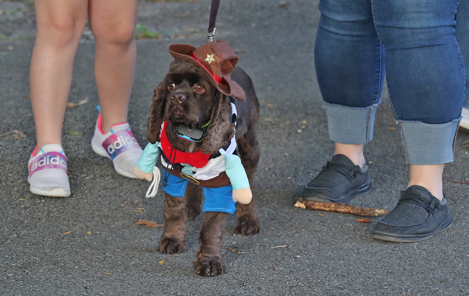 Yappy Howl-o-ween SNS