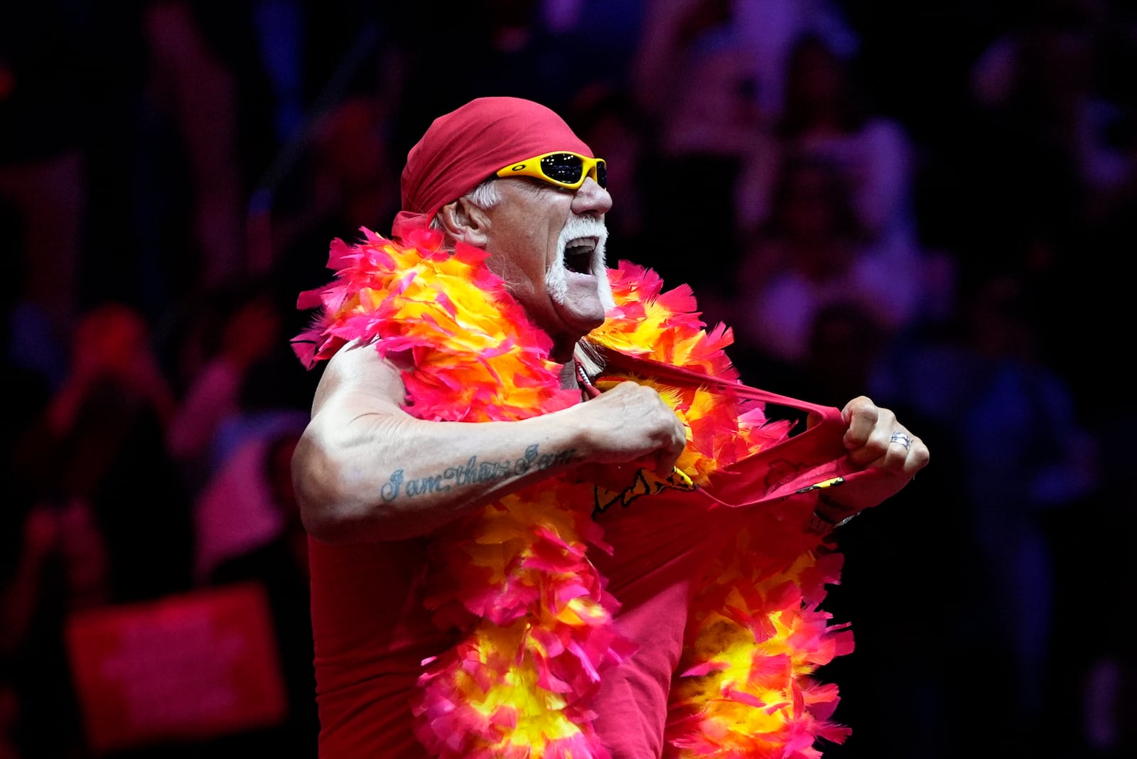 Hulk Hogan rips his shirt off at a campaign rally for Republican presidential nominee former President Donald Trump at Madison Square Garden, Sunday, Oct. 27, 2024, in New York. (AP Photo/Julia Demaree Nikhinson)