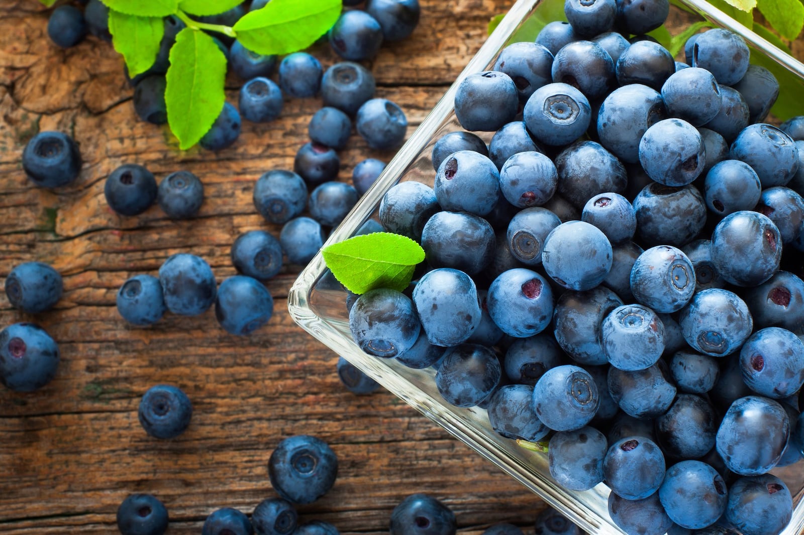 Xenia's first Blueberry Festival starts at Berryhill Farm on Saturday, July 15. (Dreamstime/TNS)