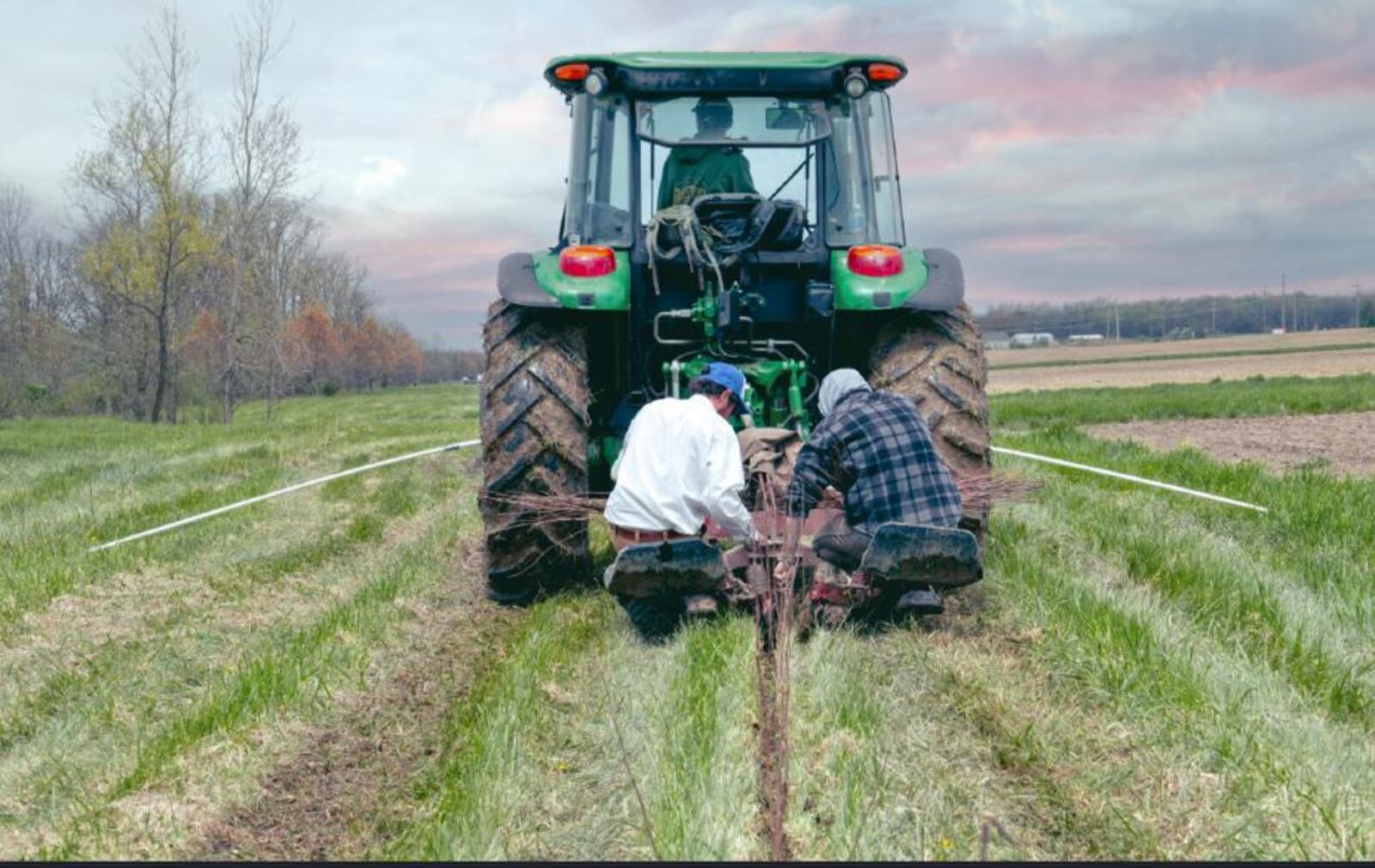 Honda plants 85,000 trees to capture carbon and enhance biodiversity near its Ohio operations. Honda photo