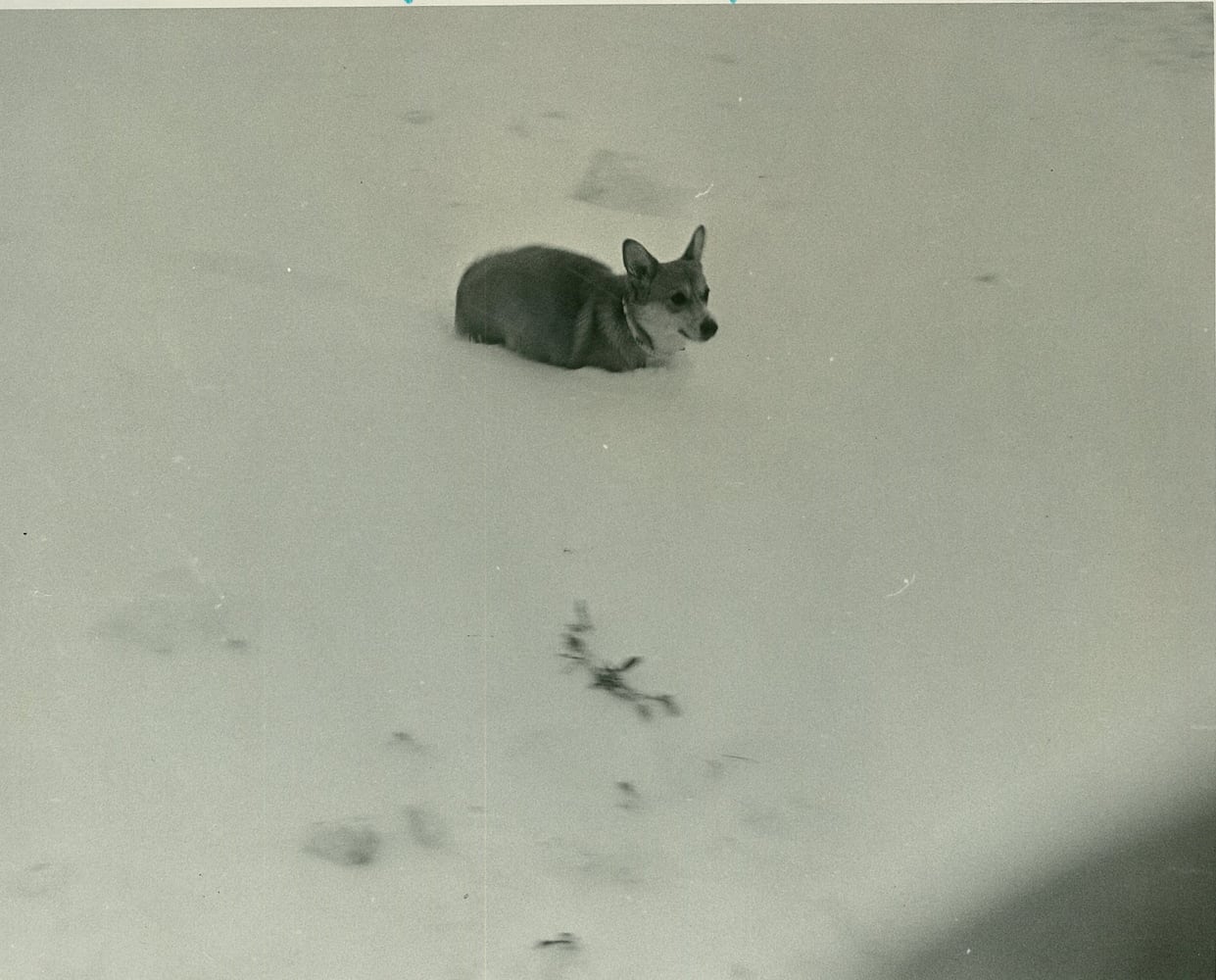 Blizzard of 1978 in Springfield and Clark County