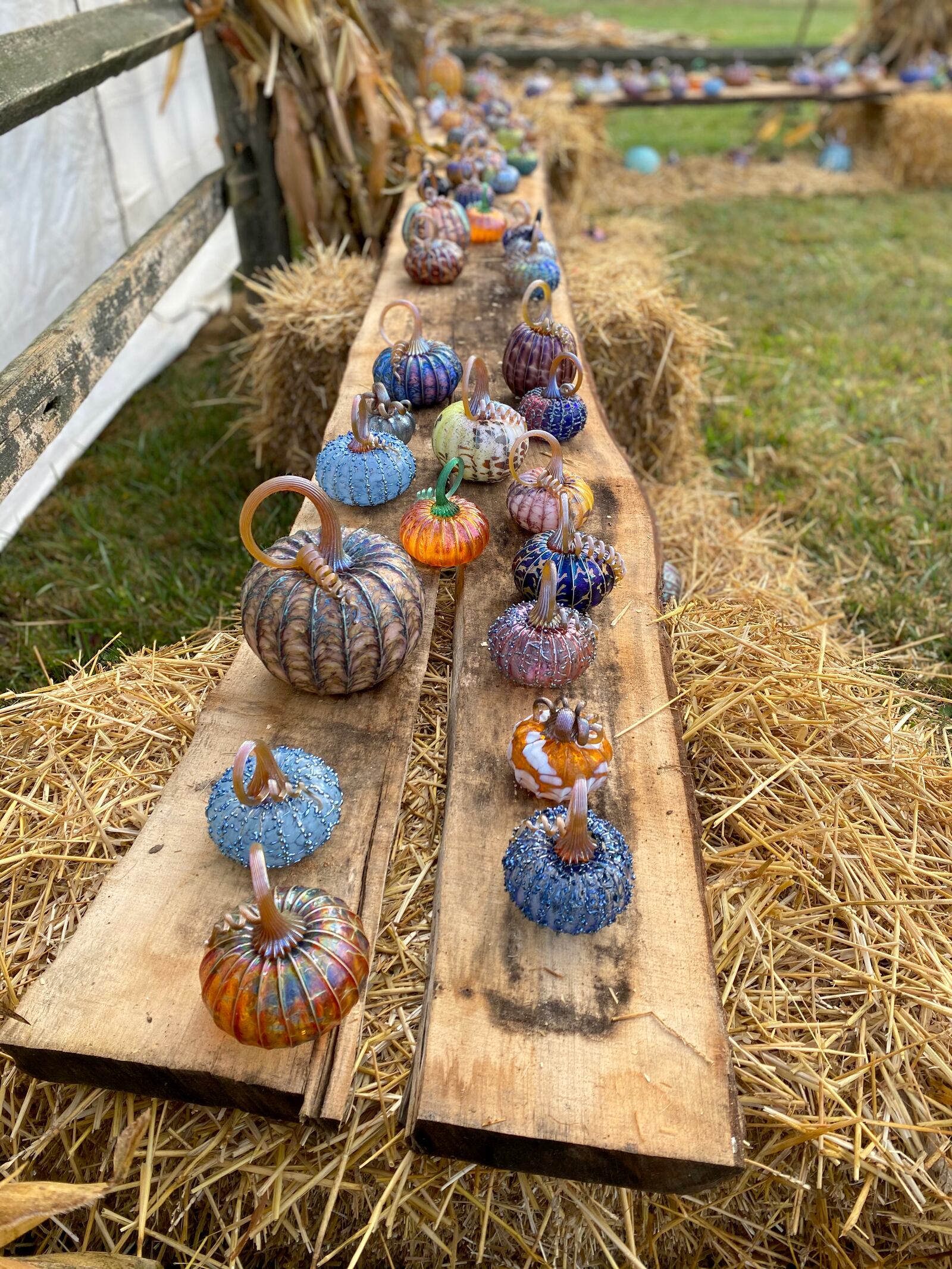  Jack Pine Studios, a Laurelville, Ohio glass studio and gallery, will host the second annual Glass Pumpkin Festival Sept. 24 – 26 . CONTRIBUTED PHOTO          