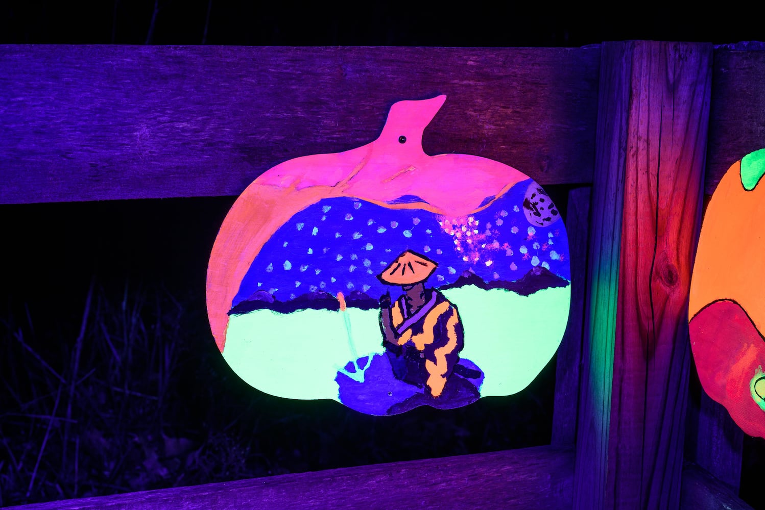 PHOTOS: 2024 Pumpkin Glow at Caesar Ford Park