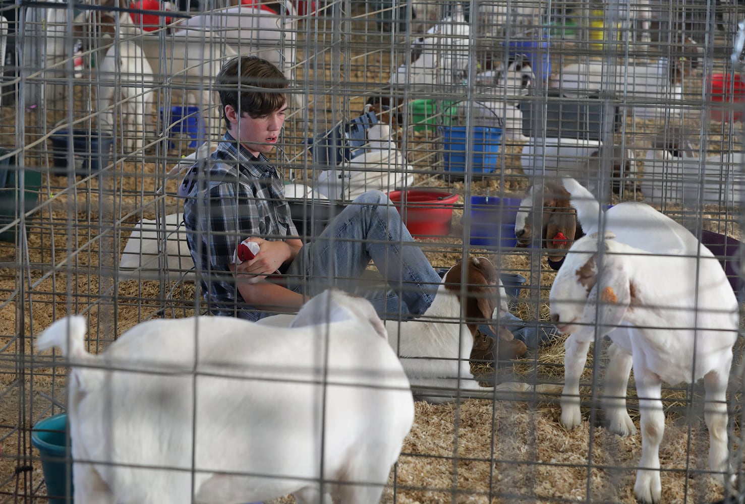 Clark County Fair