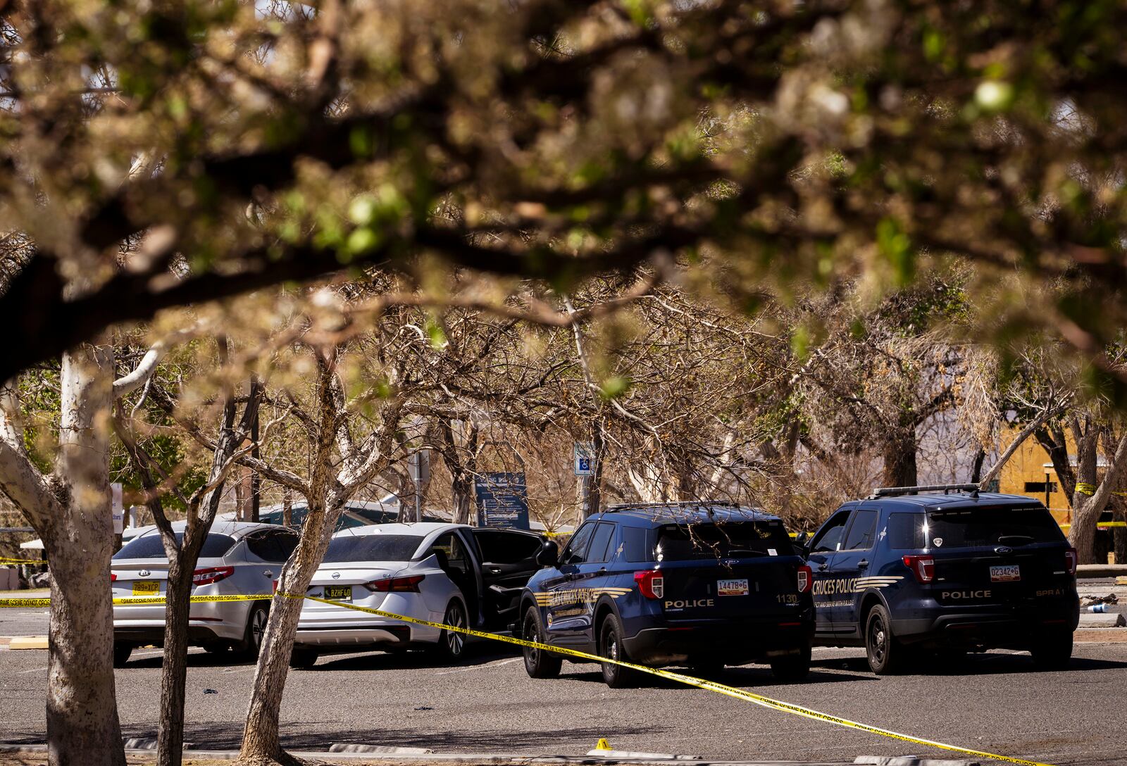 Las Cruces police investigate Friday night's fatal shooting that occurred at Young Park in Las Cruces, N.M., on Saturday, March 22, 2025. (Chancey Bush/The Albuquerque Journal via AP)