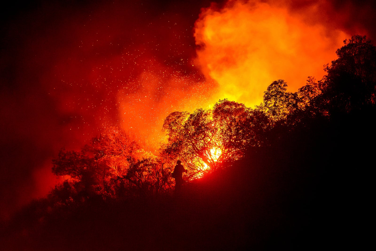 A firefighter battles the Lilac Fire near the Bonsall community of San Diego County, Calif., on Tuesday, Jan. 21, 2025. (AP Photo/Noah Berger)