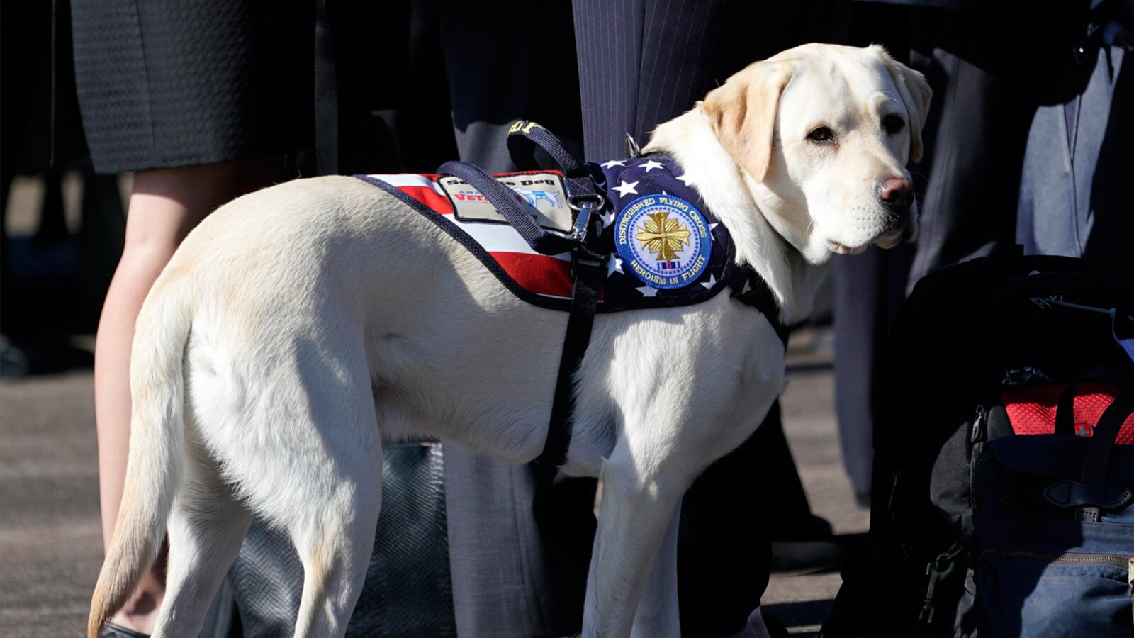 FILE PHOTO: President George H.W Bush's service dog Sully stands with members of the Bush family during a departure ceremony to Washington D. C at Ellington Field on December 3, 2018, in Houston, Texas. Sully visited the World War II Memorial in Washington, D.C.