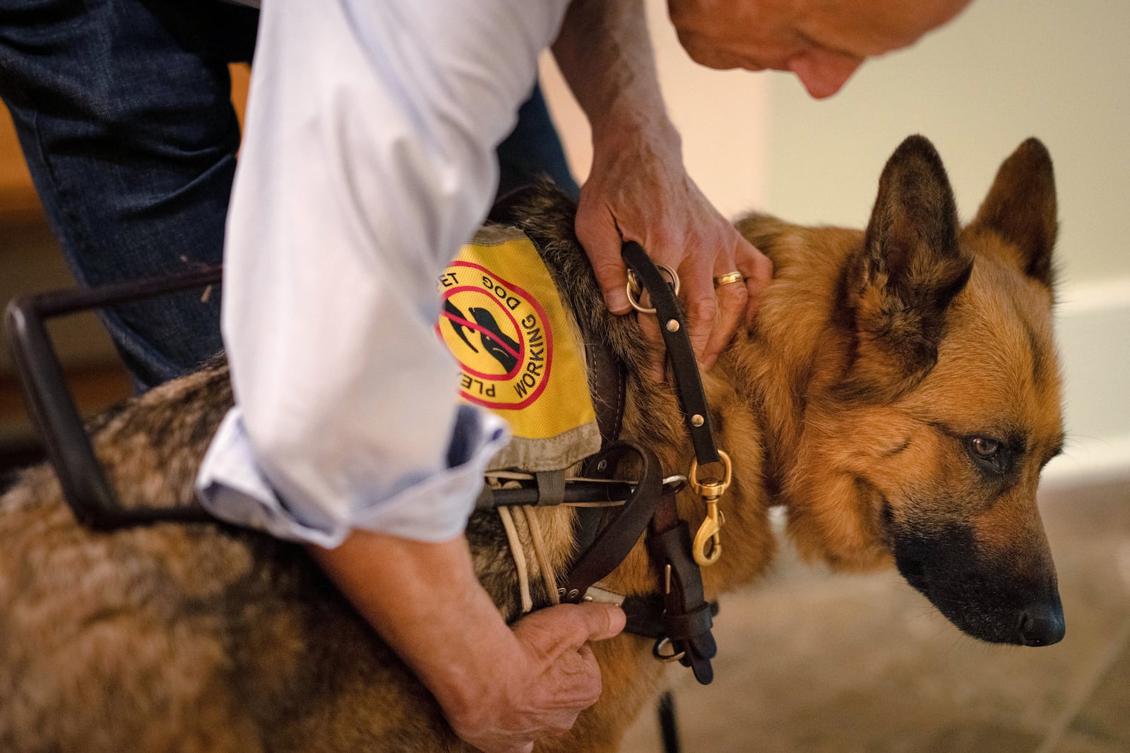 In this 2024 file photo, service dog Vixen helps Judge David Tatel. (Erin Schaff/The New York Times)
                      