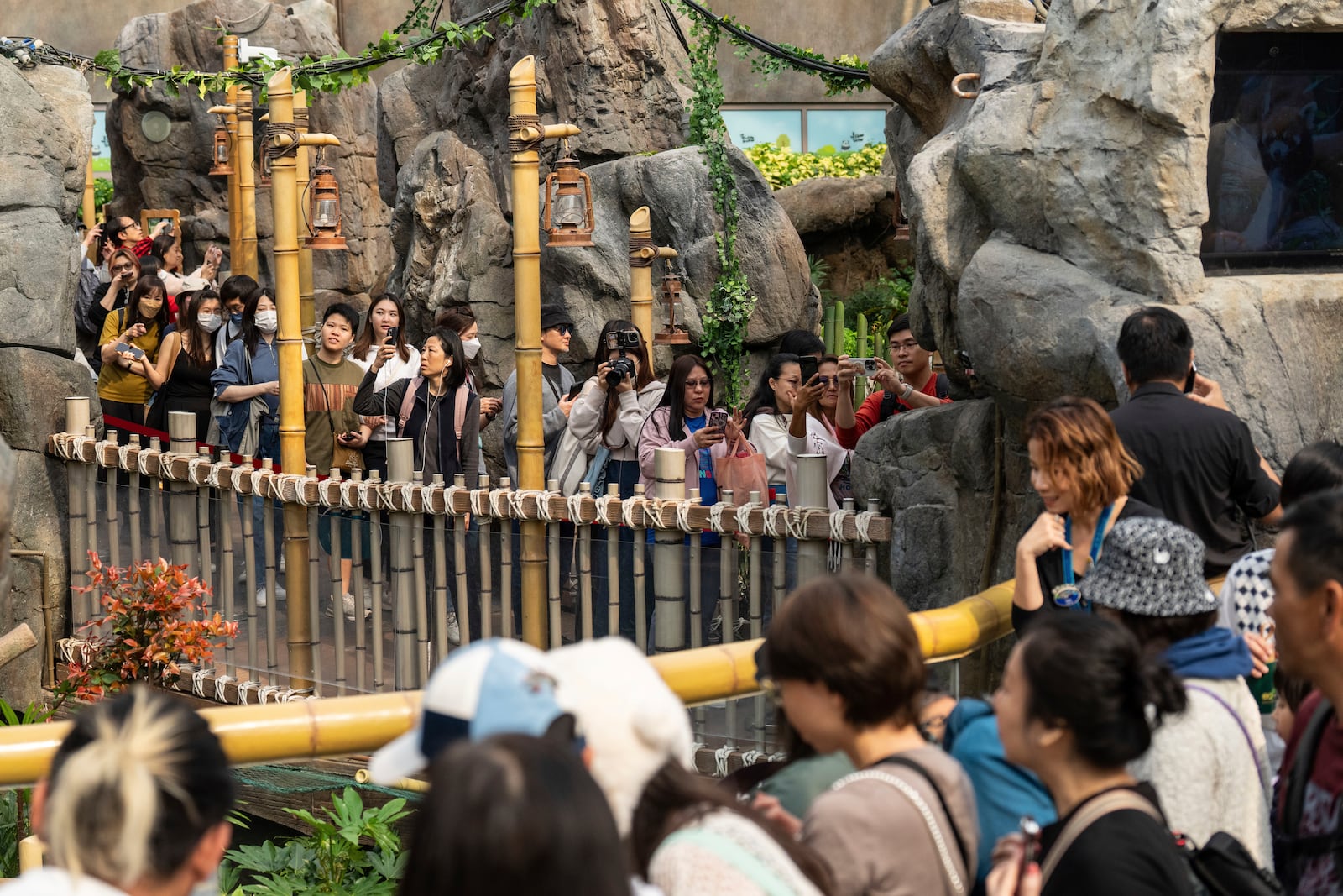 Visitors enter the panda enclosure to meet the Hong Kong-born giant panda twin cubs as they make their debut appearance to public in Ocean Park in Hong Kong, Sunday, Feb. 16, 2025. (AP Photo/Chan Long Hei)