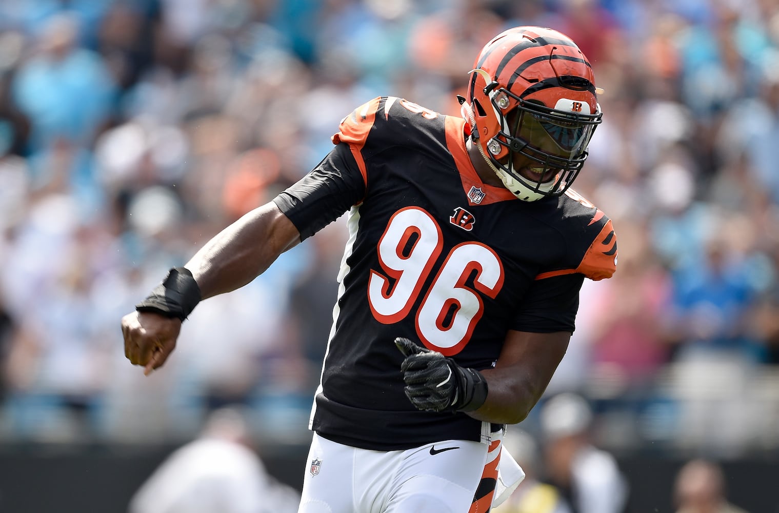 PHOTOS: Cincinnati Bengals vs. Carolina Panthers