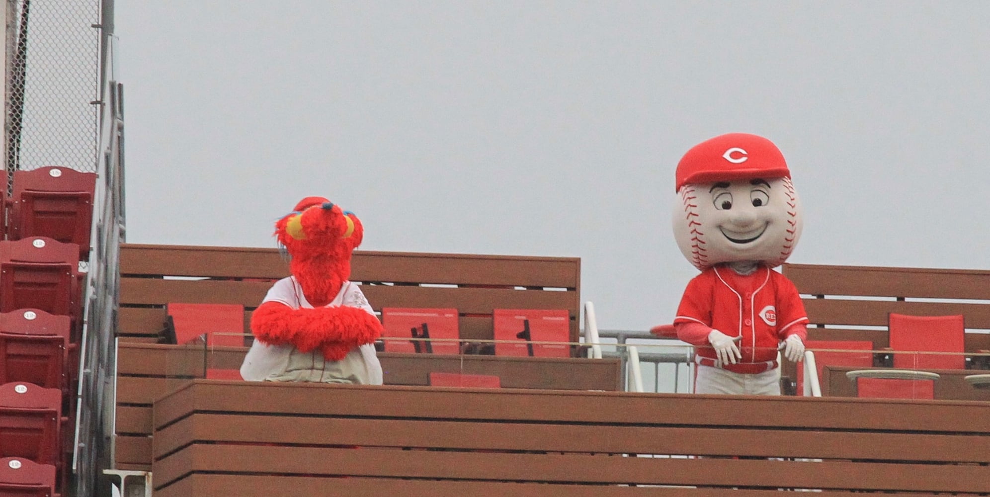 Cincinnati Reds