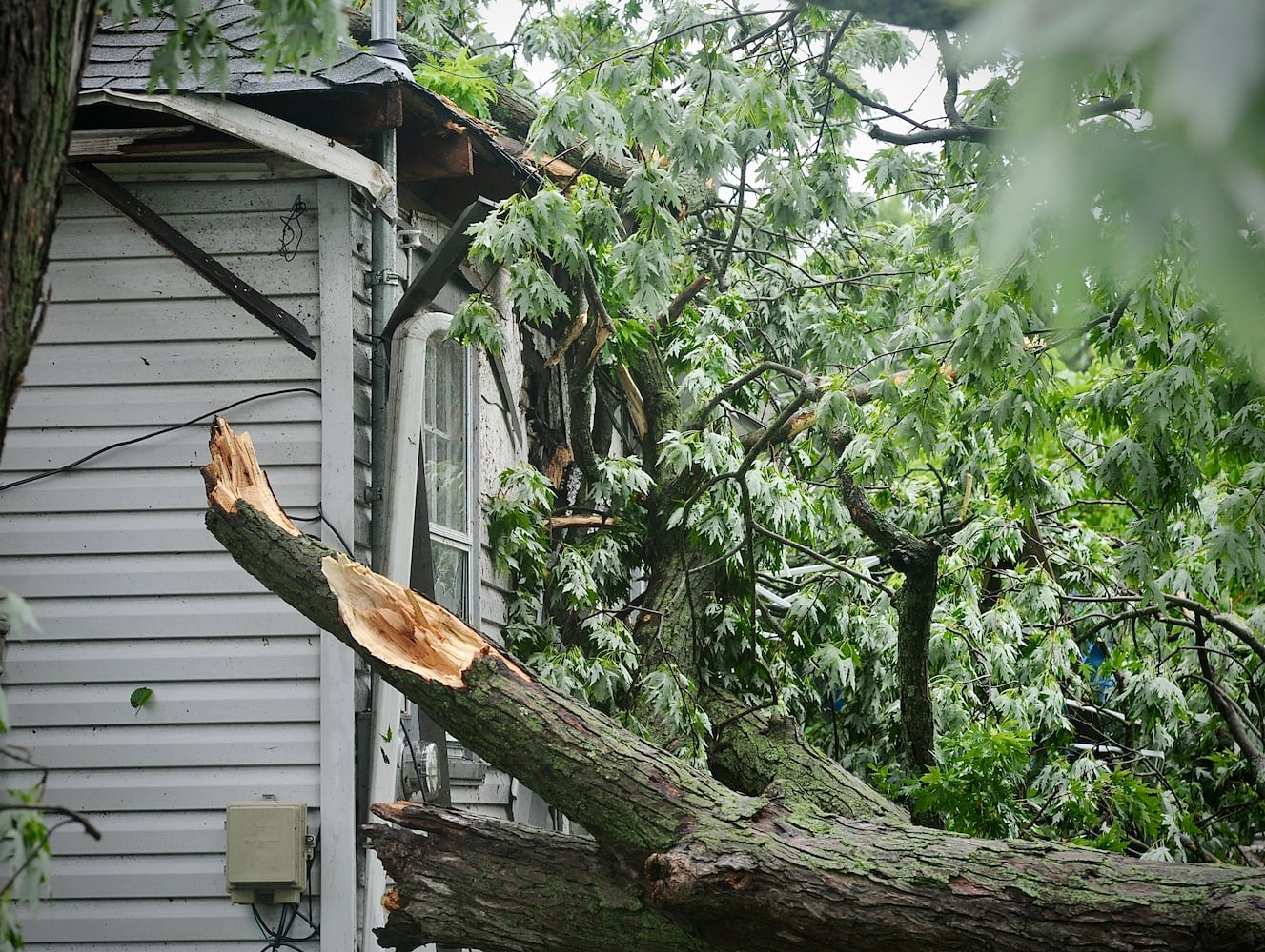 Springfield storm damage