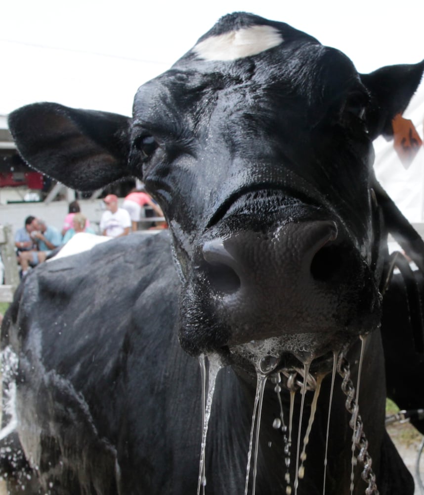 Clark County Fair