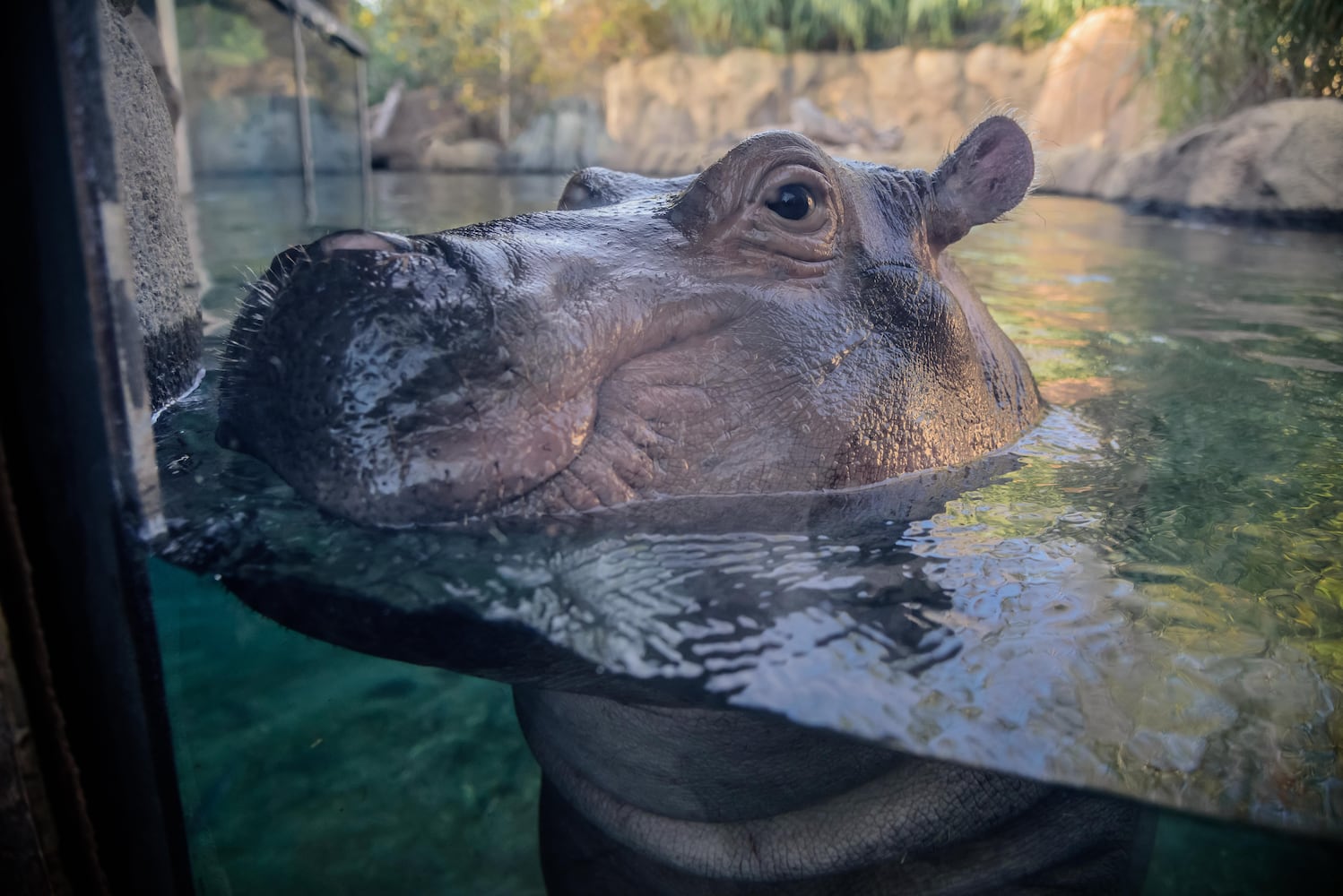 BEHIND THE SCENES: Take a look at what Fiona and Bibi are up to after hours