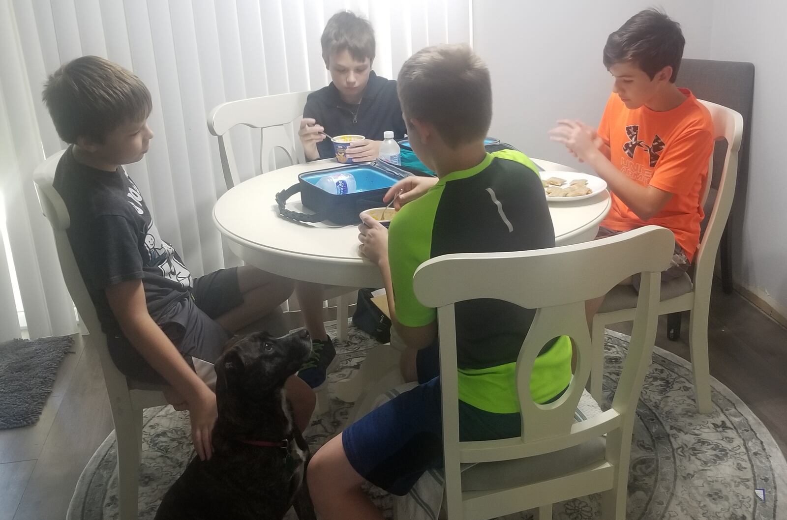 Neil (black t-shirt petting dog) and Noah (black shirt in back) Crichton along with their friends Nathan (in yellow) and Justin Gearhardt eat lunch during their break from home schooling. The boys' mothers are sharing teaching duties along with a substitute who helps one day per week while the moms work from home. CONTRIBUTED