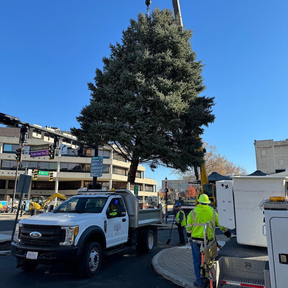 Holiday in the City Tree Arrival