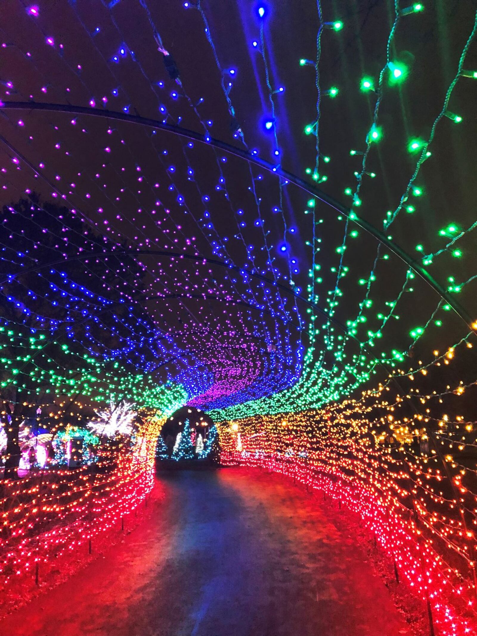 From the rainbow tunnel to trees that have been wrapped from trunk to branch tips, the Children’s Garden is awash in a rainbow of color during “Conservatory Aglow.” CONTRIBUTED