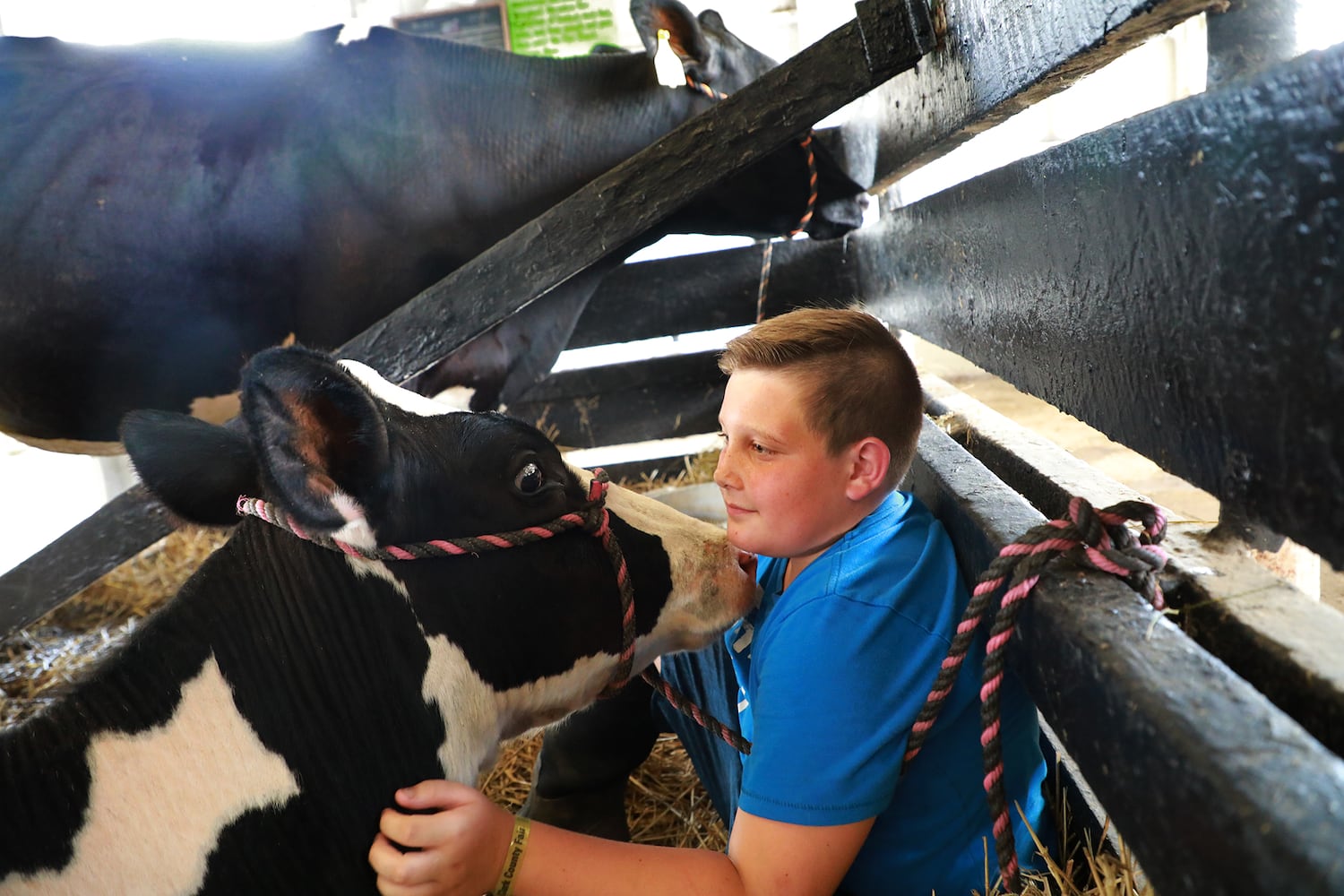 PHOTOS: 2019 Clark County Fair Day 1