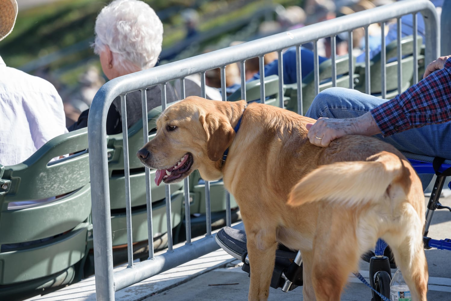 PHOTOS: Backyard Jamboree with Joe Mullins and The Radio Ramblers at Caesar Ford Park